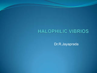 Dr.R.Jayaprada

 