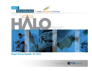 Angel Group Update: Q1 2013
 