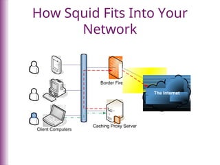 TEchnical-document-halse-squid-quota.ppt