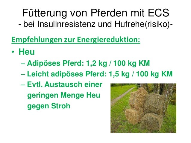 Haben sex mit pferden