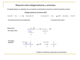 Reacción entre halogenoalcanos y amoniaco
El halogenoalcano es calentado con una solución concentrada de amoniaco en etanol (recipiente cerrado)
Formación del bromuro de etilamonio Formación de la amina
Mecanismo:
1era etapa: SN2
2da etapa:
equilibrio
Problema: la etilamina puede atacar al bromoetano
Halogenoalcanos primarios SN2
 