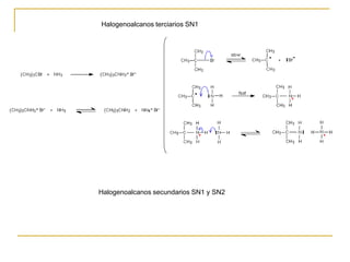 Halogenoalcanos terciarios SN1
Halogenoalcanos secundarios SN1 y SN2
 
