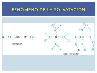 FENÓMENO DE LA SOLVATACIÓN
 