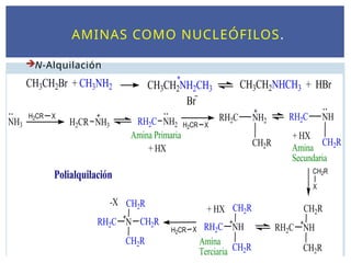 AMINAS COMO NUCLEÓFILOS.
N-Alquilación
 