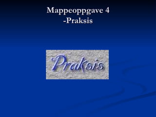 Mappeoppgave 4 -Praksis 
