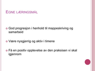 Egne læringsmålGod progresjon i henhold til mappeskriving og samarbeidVære nysgjerrig og aktiv i timeneFå en positiv opplevelse av den praksisen vi skal igjennom