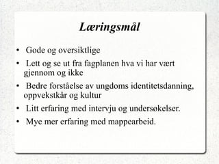 Læringsmål Gode og oversiktlige Lett og se ut fra fagplanen hva vi har vært gjennom og ikke B edre  forståelse  av  ungdoms  identitetsdanning, oppvekstkår og kultur Litt erfaring med intervju og undersøkelser. Mye mer erfaring med mappearbeid.  