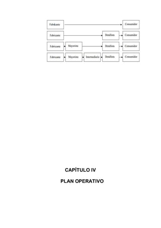 CAPÍTULO IV
PLAN OPERATIVO
 