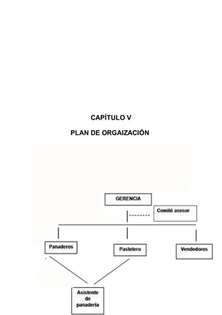 CAPÍTULO V
PLAN DE ORGAIZACIÓN
.
 