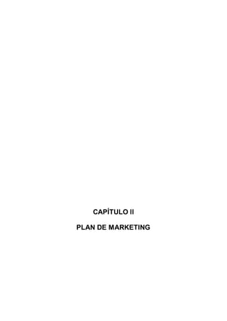 CAPÍTULO II
PLAN DE MARKETING
 