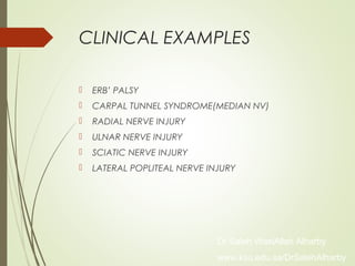 CLINICAL EXAMPLES
 ERB’ PALSY
 CARPAL TUNNEL SYNDROME(MEDIAN NV)
 RADIAL NERVE INJURY
 ULNAR NERVE INJURY
 SCIATIC NERVE INJURY
 LATERAL POPLITEAL NERVE INJURY
Dr Saleh WaslAllah Alharby
www.ksu.edu.sa/DrSalehAlharby
 