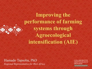 Improving the
performance of farming
systems through
Agroecological
intensification (AIE)
Hamado Tapsoba, PhD
Regional Representative for West Africa
 