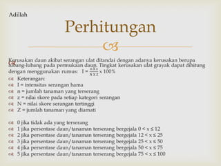 

Perhitungan
Adillah
 