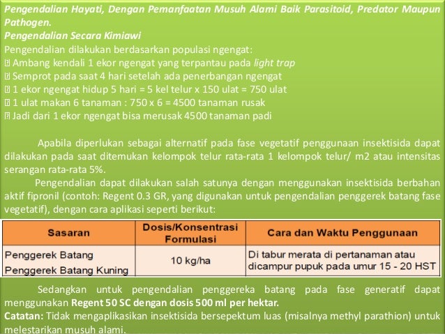 Hama Penyakit Tanaman Padi