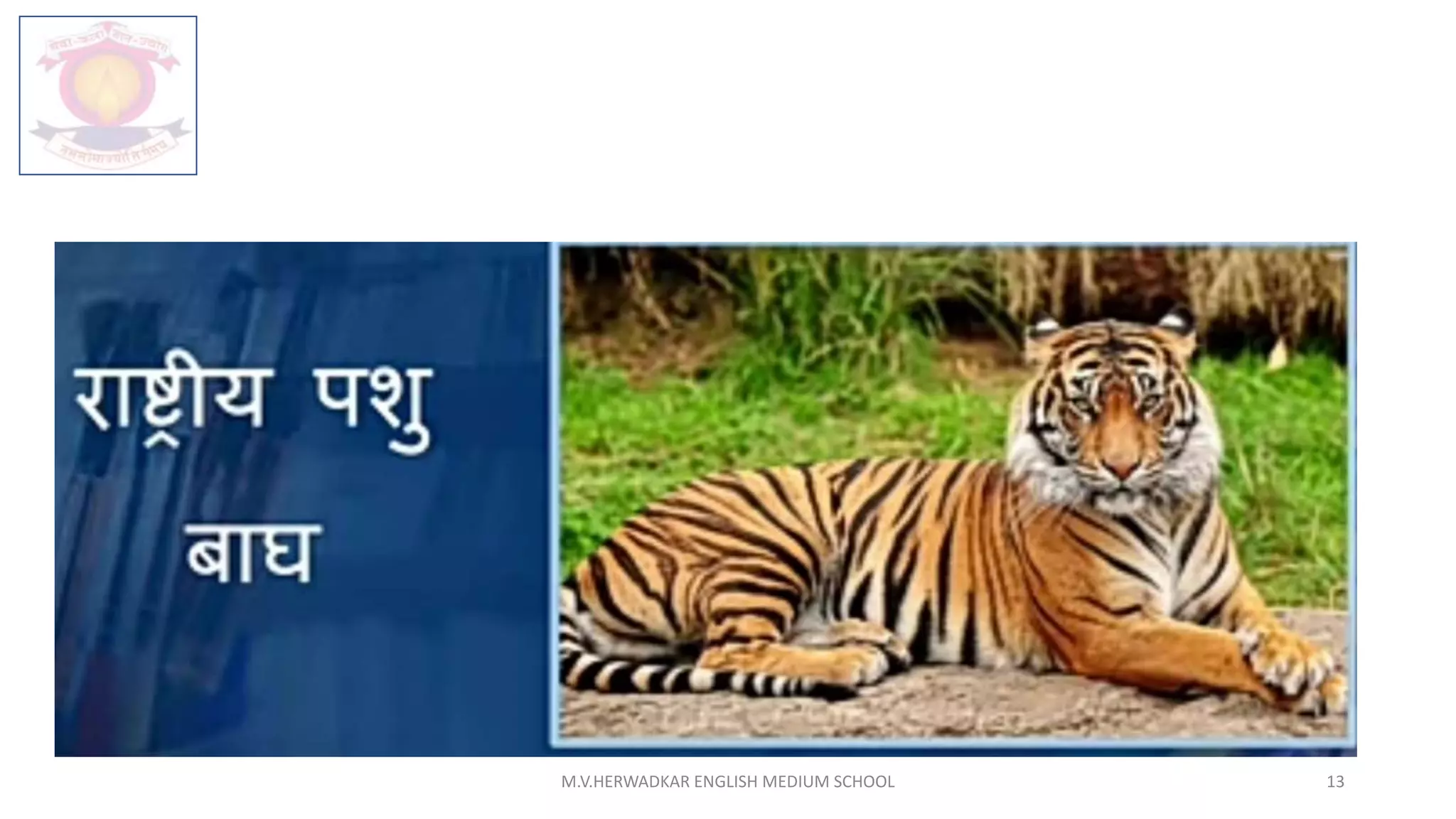 M.V.HERWADKAR ENGLISH MEDIUM SCHOOL 13