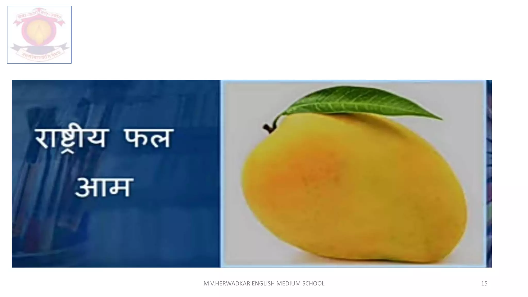 M.V.HERWADKAR ENGLISH MEDIUM SCHOOL 15