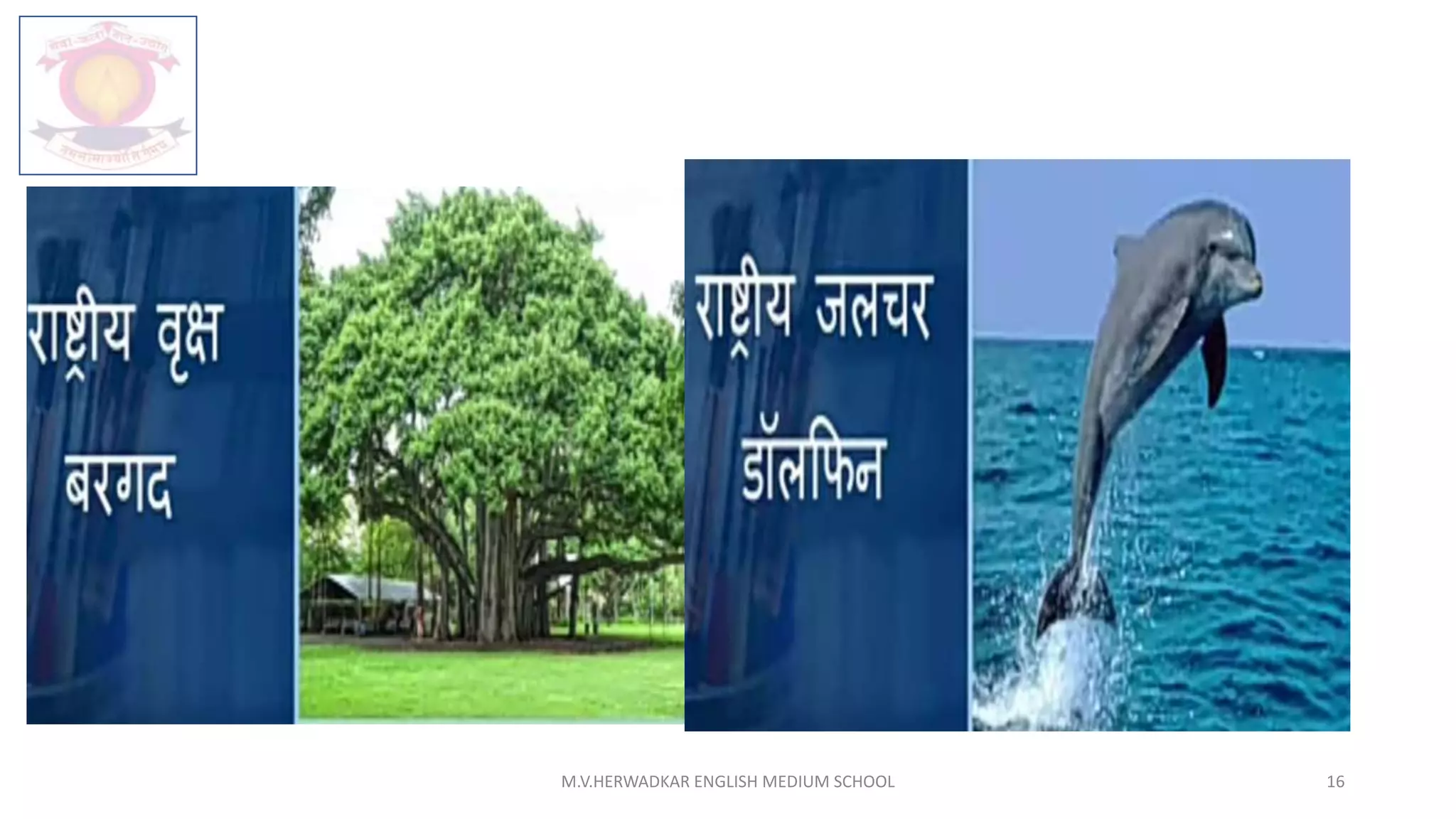 M.V.HERWADKAR ENGLISH MEDIUM SCHOOL 16