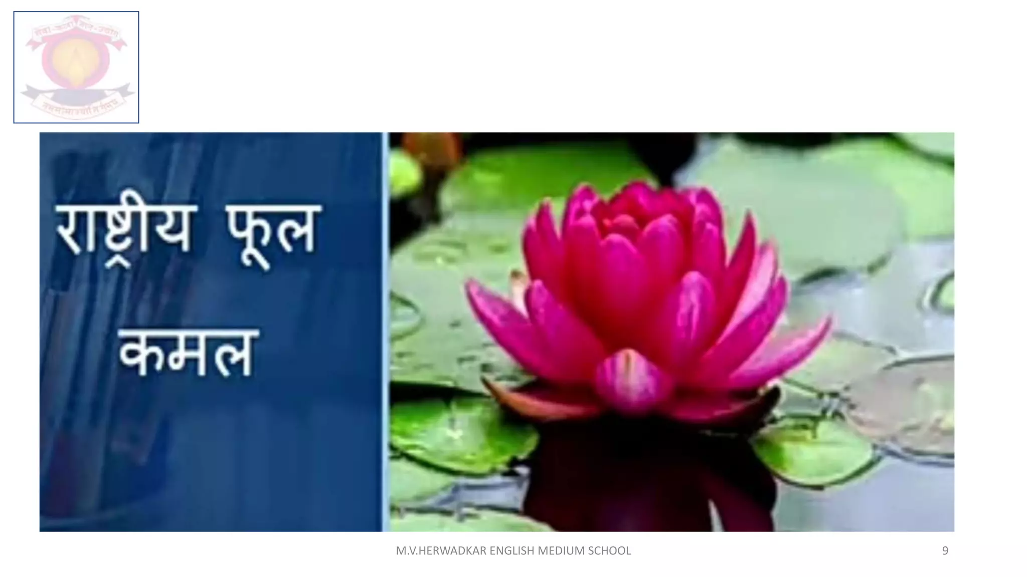 M.V.HERWADKAR ENGLISH MEDIUM SCHOOL 9