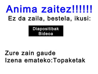 Anima zaitez!!!!!!
Ez da zaila, bestela, ikusi:
        Diapositibak
          Bideoa



Zure zain gaude
Izena emateko:Topaketak
 