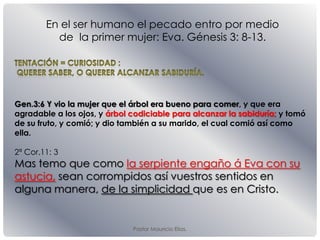 En el ser humano el pecado entro por medio
de la primer mujer: Eva. Génesis 3: 8-13.
Gen.3:6 Y vio la mujer que el árbol era bueno para comer, y que era
agradable a los ojos, y árbol codiciable para alcanzar la sabiduría; y tomó
de su fruto, y comió; y dio también a su marido, el cual comió así como
ella.
2ª Cor.11: 3
Mas temo que como la serpiente engaño á Eva con su
astucia, sean corrompidos así vuestros sentidos en
alguna manera, de la simplicidad que es en Cristo.
Pastor Mauricio Elias.
 