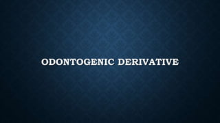 ODONTOGENIC DERIVATIVE
 