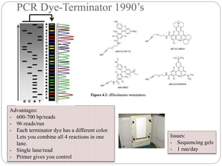 PCR Dye-Terminator 1990’s
Issues:
- Sequencing gels
- 1 run/day
Advantages:
- 600-700 bp/reads
- 96 reads/run
- Each terminator dye has a different color.
Lets you combine all 4 reactions in one
lane.
- Single lane/read
- Primer gives you control
 