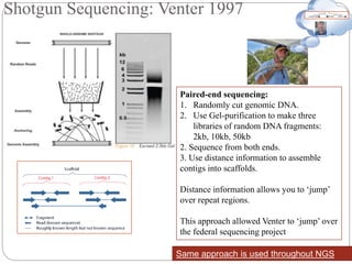 Shotgun Sequencing: Venter 1997
Same approach is used throughout NGS
Paired-end sequencing:
1. Randomly cut genomic DNA.
2. Use Gel-purification to make three
libraries of random DNA fragments:
2kb, 10kb, 50kb
2. Sequence from both ends.
3. Use distance information to assemble
contigs into scaffolds.
Distance information allows you to ‘jump’
over repeat regions.
This approach allowed Venter to ‘jump’ over
the federal sequencing project
 
