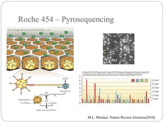 Roche 454 – Pyrosequencing
M.L. Metzker, Nature Review Genetics(2010)
 