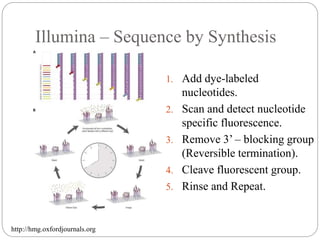 Illumina – Sequence by Synthesis
1. Add dye-labeled
nucleotides.
2. Scan and detect nucleotide
specific fluorescence.
3. Remove 3’ – blocking group
(Reversible termination).
4. Cleave fluorescent group.
5. Rinse and Repeat.
http://hmg.oxfordjournals.org
 
