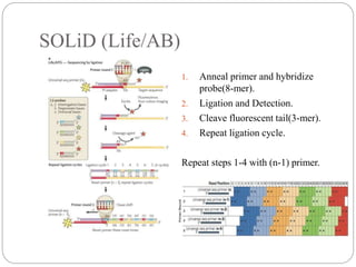 SOLiD (Life/AB)
1. Anneal primer and hybridize
probe(8-mer).
2. Ligation and Detection.
3. Cleave fluorescent tail(3-mer).
4. Repeat ligation cycle.
Repeat steps 1-4 with (n-1) primer.
 