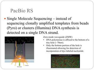 PacBio RS
 Single Molecule Sequencing – instead of
sequencing clonally amplified templates from beads
(Pyro) or clusters (Illumina) DNA synthesis is
detected on a single DNA strand.
Zero-mode waveguide (ZMW)
• DNA polymerase is affixed to the bottom of a
tiny hole (~70nm).
• Only the bottom portion of the hole is
illuminated allowing for detection of
incorporation of dye-labeled nucleotide.
 