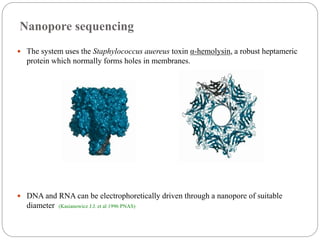 Nanopore sequencing
 The system uses the Staphylococcus auereus toxin α-hemolysin, a robust heptameric
protein which normally forms holes in membranes.
 DNA and RNA can be electrophoretically driven through a nanopore of suitable
diameter (Kasianowicz J.J. et al 1996 PNAS)
 