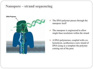 Nanopore – strand sequencing
 The DNA polymer passes through the
nanopore itself
 The nanopore is engineered to allow
single-base resolution within the strand
 A DNA polymerase, coupled with a α-
hemolysin, synthesizes a new strand of
DNA using as a template the polymer
coming out of the pore
DNA Polymer
 