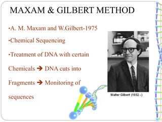 •A. M. Maxam and W.Gilbert-1975
•Chemical Sequencing
•Treatment of DNA with certain
Chemicals  DNA cuts into
Fragments  Monitoring of
sequences
MAXAM & GILBERT METHOD
 