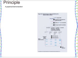 A graphical demonstration
Principle
 
