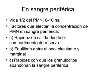 En sangre periférica
• Vida 1/2 del PMN: 6-10 hs.
• Factores que afectan la concentración de
PMN en sangre periférica:
• a) Rapidez de salida desde el
compartimento de reserva
• b) Equilibrio entre el pool circulante y
marginal
• c) Rapidez con que los granulocitos
abandonan la sangre periférica
 