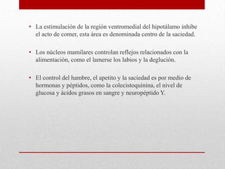 • La estimulación de la región ventromedial del hipotálamo inhibe
el acto de comer, esta área es denominada centro de la saciedad.
• Los núcleos mamilares controlan reflejos relacionados con la
alimentación, como el lamerse los labios y la deglución.
• El control del hambre, el apetito y la saciedad es por medio de
hormonas y péptidos, como la colecistoquinina, el nivel de
glucosa y ácidos grasos en sangre y neuropéptido Y.

 