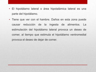 • El hipotálamo lateral o área hipotalámica lateral es una
parte del hipotálamo.
• Tiene que ver con el hambre. Daños en esta zona puede
causar

reducción

de

la

ingesta

de

alimentos.

La

estimulación del hipotálamo lateral provoca un deseo de
comer, al tiempo que estimula el hipotálamo ventromedial
provoca el deseo de dejar de comer.

 