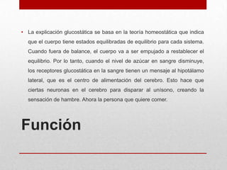 • La explicación glucostática se basa en la teoría homeostática que indica
que el cuerpo tiene estados equilibradas de equilibrio para cada sistema.
Cuando fuera de balance, el cuerpo va a ser empujado a restablecer el

equilibrio. Por lo tanto, cuando el nivel de azúcar en sangre disminuye,
los receptores glucostática en la sangre tienen un mensaje al hipotálamo
lateral, que es el centro de alimentación del cerebro. Esto hace que
ciertas neuronas en el cerebro para disparar al unísono, creando la

sensación de hambre. Ahora la persona que quiere comer.

Función

 