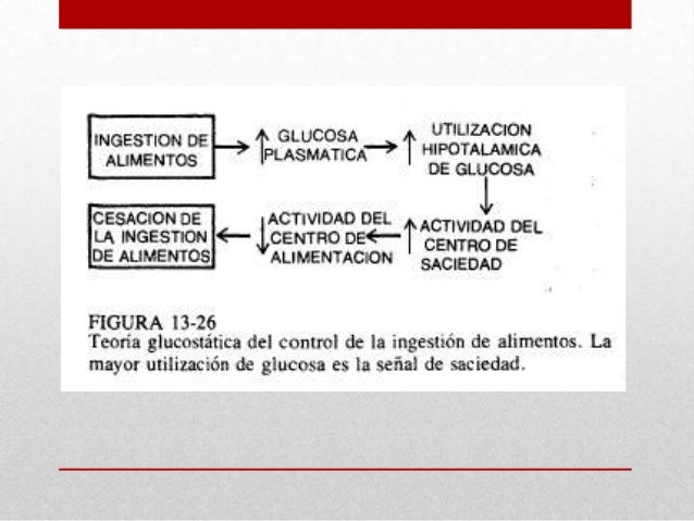 Hambre y ansiedad Hambre y ansiedad