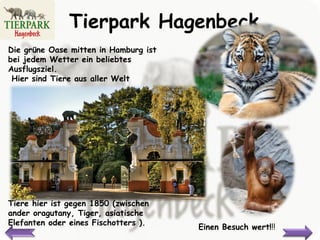 Tierpark Hagenbeck Die grüne Oase mitten in Hamburg ist bei jedem Wetter ein beliebtes Ausflugsziel . Hier sind Tiere aus aller Welt Tiere hier ist gegen 1850 (zwischen ander oragutany,   Tiger, asiatische Elefanten oder eines Fischotters ).  E inen Besuch wert ! !! 