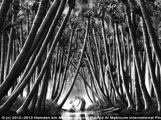 the grand chessboard by zbigniew brzezinski