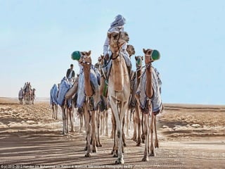 Hamdan bin mohammed bin rashid al maktoum photographer | PPT