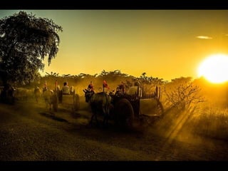 Hamdan international photography award