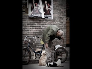 Hamdan international photography award
