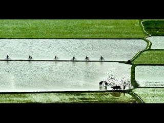 Hamdan international photography award