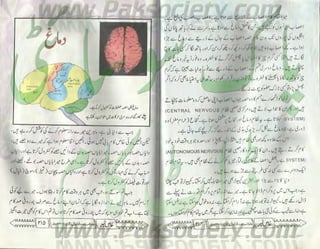 Hamdard naunehal june 2001