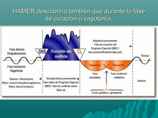 HAMER descubriría también que durante la faseHAMER descubriría también que durante la fase
de curación o vagotonía,de curación o vagotonía,
 
