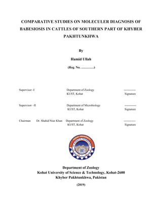 COMPARATIVE STUDIES ON MOLECULER DIAGNOSIS OF
BABESIOSIS IN CATTLES OF SOUTHERN PART OF KHYBER
PAKHTUNKHWA
By
Hamid Ullah
(Reg. No. …………)
Supervisor -I Department of Zoology ------------
KUST, Kohat Signature
Supervisor –II Department of Microbiology ------------
KUST, Kohat Signature
Chairman Dr. Shahid Niaz Khan Department of Zoology ------------
KUST, Kohat Signature
Department of Zoology
Kohat University of Science & Technology, Kohat-2600
Khyber Pakhtunkhwa, Pakistan
(2019)
 
