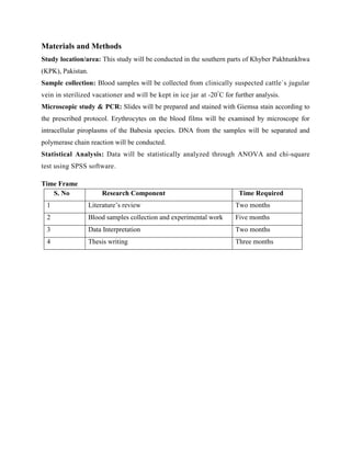 Materials and Methods
Study location/area: This study will be conducted in the southern parts of Khyber Pakhtunkhwa
(KPK), Pakistan.
Sample collection: Blood samples will be collected from clinically suspected cattle`s jugular
vein in sterilized vacationer and will be kept in ice jar at -20°
C for further analysis.
Microscopic study & PCR: Slides will be prepared and stained with Giemsa stain according to
the prescribed protocol. Erythrocytes on the blood films will be examined by microscope for
intracellular piroplasms of the Babesia species. DNA from the samples will be separated and
polymerase chain reaction will be conducted.
Statistical Analysis: Data will be statistically analyzed through ANOVA and chi-square
test using SPSS software.
Time Frame
S. No Research Component Time Required
1 Literature’s review Two months
2 Blood samples collection and experimental work Five months
3 Data Interpretation Two months
4 Thesis writing Three months
 